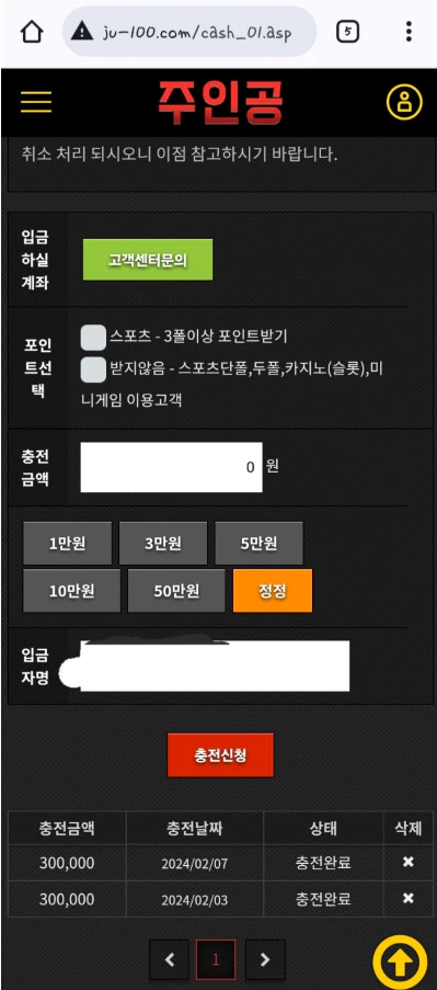 30만원을 충전한 회원님 주인공 먹튀사이트에서 배팅한 기록