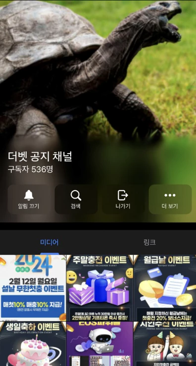 기존 돌담 먹튀사이트에서 더벳 먹튀사이트로 리뉴얼한 증거자료